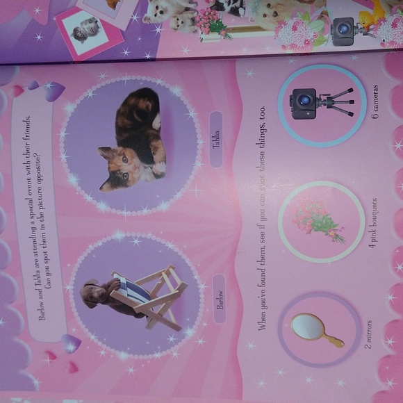 Find The Picture Books - Set Of 2 - Picture 4 of 11